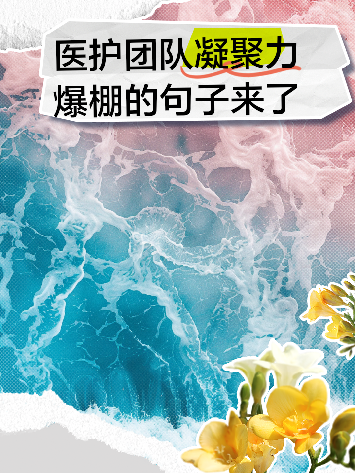 团队凝聚力：球队合作背后的秘密