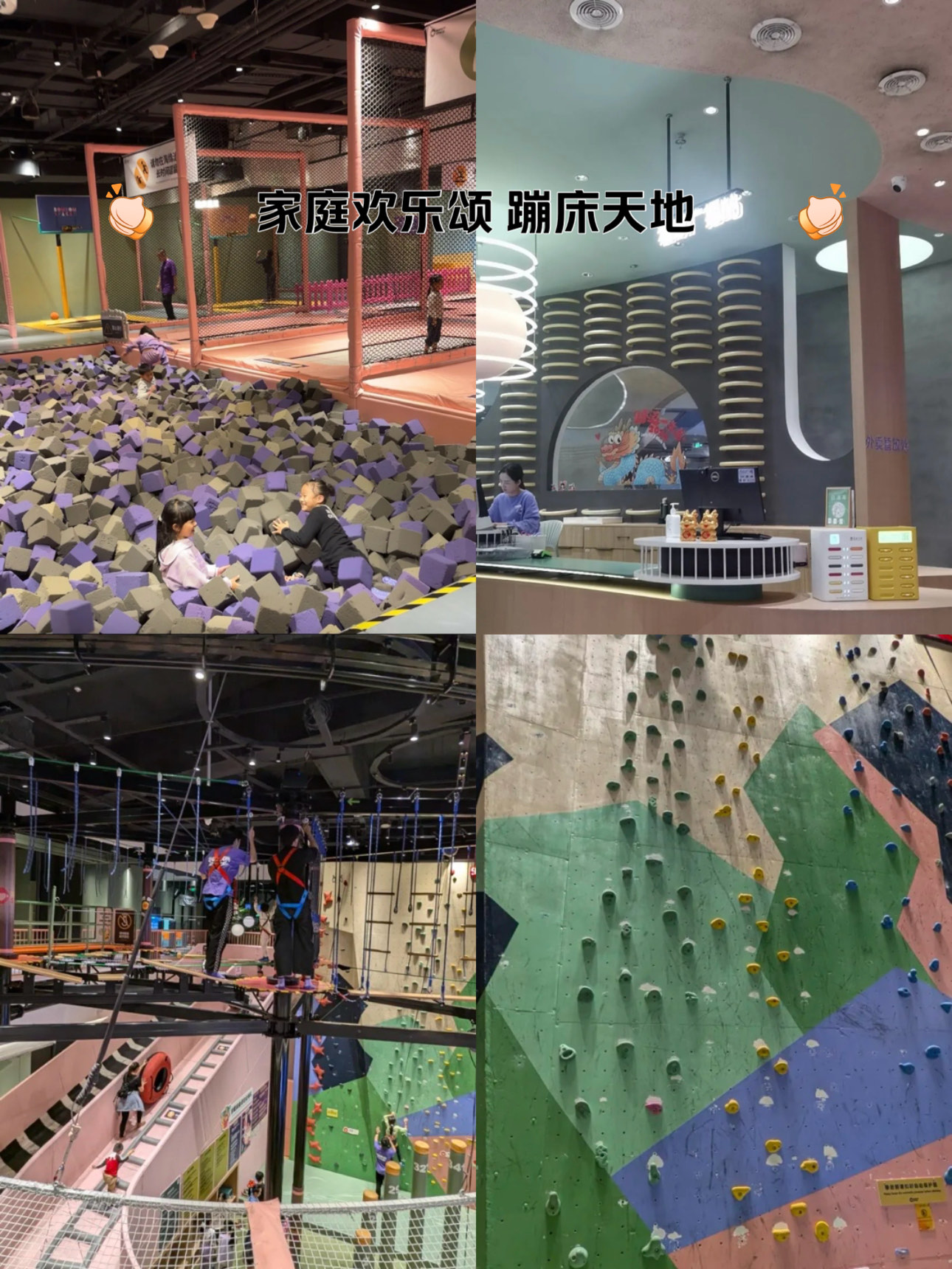 大型森林高空绳索探索，刺激十足的极限体验的简单介绍